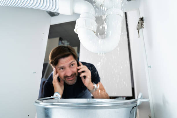 Best Same-Day Plumbing Service  in Lone Tree, IA