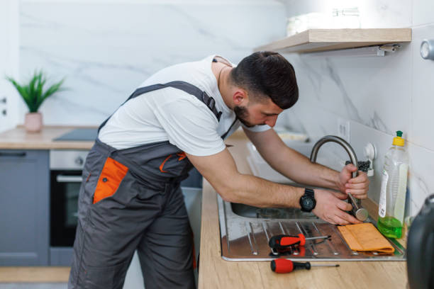 Best Plumbing Inspection Services  in Lone Tree, IA