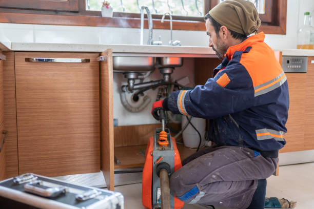 Best Clogged Drain Plumber  in Lone Tree, IA