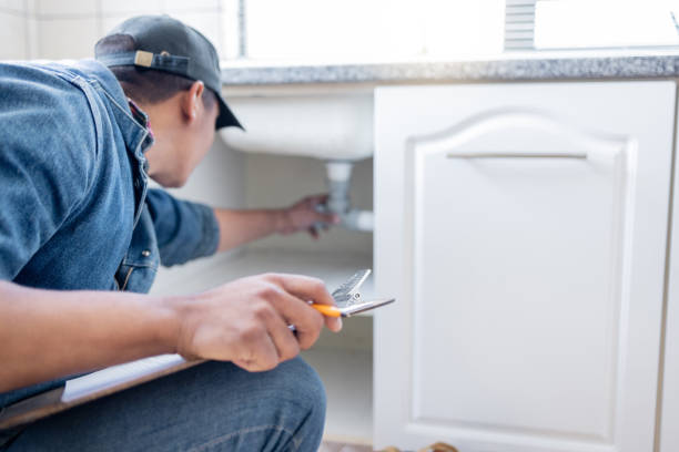 Best Water Leak Repair  in Lone Tree, IA