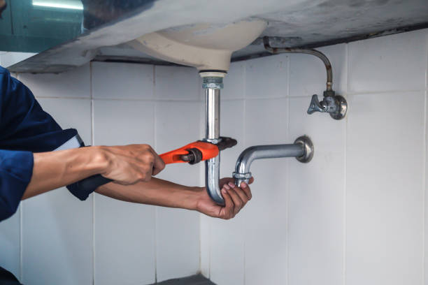 Best Plumbing Services Near Me  in Lone Tree, IA