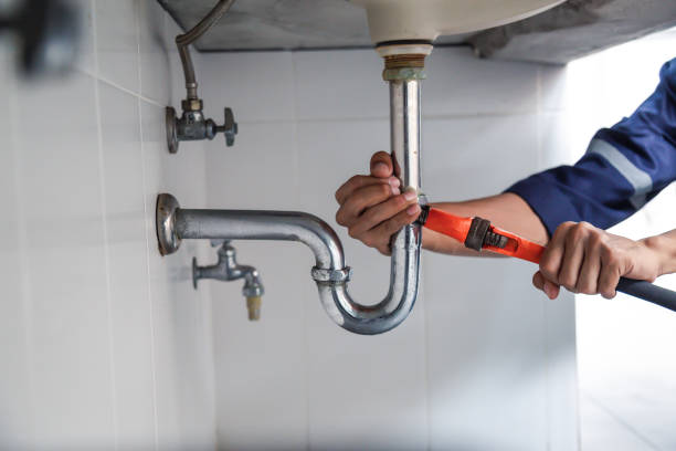 Best Leak Detection Services  in Lone Tree, IA